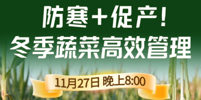 《细说农技》专家张宝林教冬季蔬菜防寒 + 促产高效管理，27 日晚 8 点！