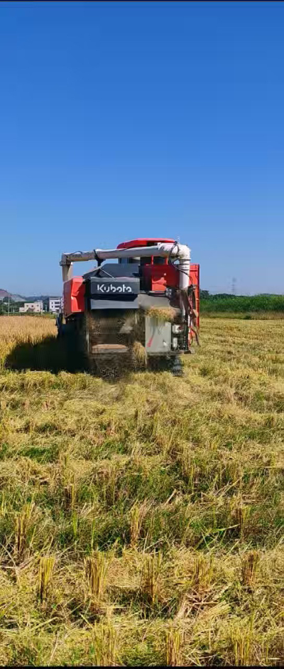 惠州基地，无人拖拉机收水稻了。