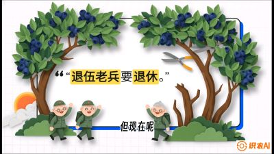 第7节：修剪决定产量（下）&mdash;&mdash;结果树的更新与疏果，课程：《蓝莓&ldquo;高产&rdquo;实战课：从选苗到丰收的10个关键点》