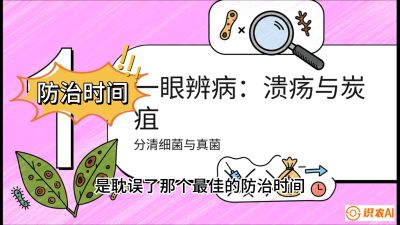 第三节：细菌与真菌&mdash;&mdash;溃疡病与炭疽病，课程：《柑橘十大病虫害：从入门到精通》