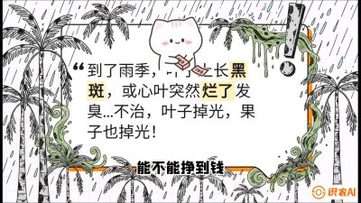 第05节：常见真菌病害&mdash;&mdash;&ldquo;炭疽与烂心，早防值千金&rdquo;《槟榔种植：从不懂到精通的10堂必修课》