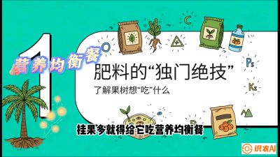 第07节：科学施肥&mdash;&mdash;&ldquo;氮磷钾配好，树壮果不倒