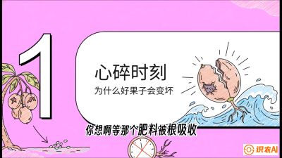 第08节：微量元素与保果&mdash;&mdash;&ldquo;补硼又补钙，果子不裂坏&rdquo;《槟榔种植：从不懂到精通的10堂必修课》