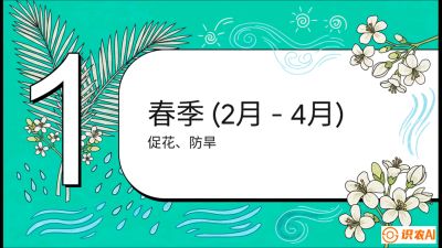 第10节：周年农事日历&mdash;&mdash;&ldquo;跟着节气走，丰产在手头&rdquo;《槟榔种植：从不懂到精通的10堂必修课》
