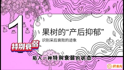 第2节：【冬肥策略】采后&ldquo;月子肥&rdquo;：大小年的精准干预术，课程：《柑橘底肥&ldquo;翻身账&rdquo;：从改土到高产的实战全书》