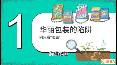第4节：【黄金配方】底肥里的&ldquo;铁三角&rdquo;与&ldquo;微量雷区&rdquo;课程：《柑橘底肥&ldquo;翻身账&rdquo;：从改土到高产的实战全书》