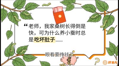 第01节：不仅仅是树&mdash;&mdash;顶级品种选配策略，课程：《桑海淘金：桑树高产与蚕桑安全进阶实战课》