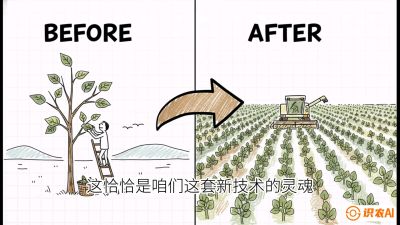 第02节：把树变成草&mdash;&mdash;&ldquo;草本化密植&rdquo;技术，课程：《桑海淘金：桑树高产与蚕桑安全进阶实战课》