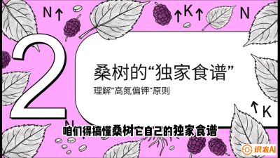 第04节：地下核动力&mdash;&mdash;桑树专用水肥一体化配方，课程：《桑海淘金：桑树高产与蚕桑安全进阶实战课》