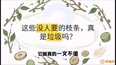 第12节：变废为宝&mdash;&mdash;循环农业实操，课程：《桑海淘金：桑树高产与蚕桑安全进阶实战课》