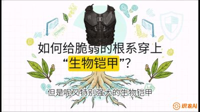 第三节：国产榴莲突围战：根系堡垒，菌根微生态构建与黄金定植窗口，课程：《国产榴莲突围战：从泰国经验到中国实操的8堂必修课（高阶实战版）》