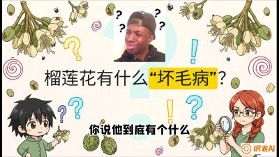 第六节：榴莲的午夜战事，夜间授粉战与花果期避雨策略，课程：《国产榴莲突围战：从泰国经验到中国实操的8堂必修课（高阶实战版）》