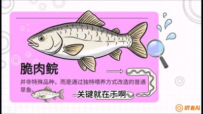 第六节：【老品升级&middot;脆肉鲩】如何让草鱼身价翻倍？，课程：《黄金鳞甲：2025中国淡水鱼高效养殖实战营》