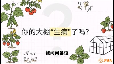 第2节（解毒篇）： 大棚里的&ldquo;红白绿&rdquo;警报&mdash;&mdash;读懂土壤盐渍化的求救信号，课程：《揭秘土壤的秘密：让土地帮你赚钱》#识农AI