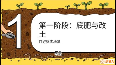 第6节（统筹篇）： 省钱又增产的&ldquo;黄金配比&rdquo;&mdash;&mdash;不同作物全年的养土实操方案，课程：《揭秘土壤的秘密：让土地帮你赚钱》#识农AI
