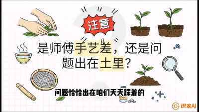 第02节（土肥篇）：告别&ldquo;苦涩水味&rdquo;：揭秘&ldquo;碳氮比&rdquo;调控术，种出自带兰花香的好茶底，课程：《茶金时代：从&ldquo;看天吃饭&rdquo;到&ldquo;精准控局&rdquo;的茶叶高产提质实战课》