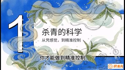 第05节（加工篇）：决胜2分钟：用&ldquo;数字温控&rdquo;破解杀青不匀，复刻大师级手工口感，课程：《茶金时代：从&ldquo;看天吃饭&rdquo;到&ldquo;精准控局&rdquo;的茶叶高产提质实战课》