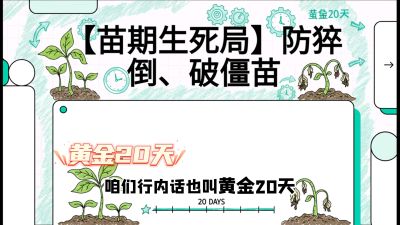 第2节：【苗期生死局】防猝倒、破僵苗，决定后期产量的&ldquo;黄金20天&rdquo;，课程：《辣椒种植实战特训营，从工业辣椒到精品小米辣，教你如何把&ldquo;草&rdquo;种成&ldquo;金&rdquo;》