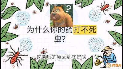 第4节：【虫害歼灭战】打不死的蓟马、隐形的茶黄螨：抗性时代的&ldquo;混配绝杀&rdquo;，课程：《辣椒种植实战特训营，从工业辣椒到精品小米辣，教你如何把&ldquo;草&rdquo;种成&ldquo;金&rdquo;》