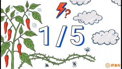 第6节：【花果爆发术】落花落果的五大元凶，与&ldquo;三喷一保&rdquo;坐果黑科技，课程：《辣椒种植实战特训营，从工业辣椒到精品小米辣，教你如何把&ldquo;草&rdquo;种成&ldquo;金&rdquo;》