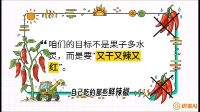 第7节：【工业辣椒专场】追求极致辣度！干物质提升与机械化采收的&ldquo;催红秘籍&rdquo;，课程：《辣椒种植实战特训营，从工业辣椒到精品小米辣，教你如何把&ldquo;草&rdquo;种成&ldquo;金&rdquo;》