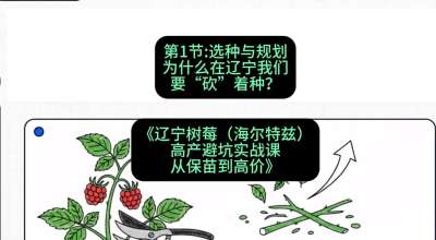 第一节： 选种与规划&mdash;&mdash;为什么在辽宁我们要&ldquo;砍&rdquo;着种？，课程：《辽宁树莓（海尔特兹）高产避坑实战课：从保苗到高价》