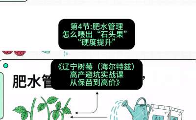 第四节： 肥水管理&mdash;&mdash;怎么喂出&ldquo;石头果&rdquo;（硬度提升），课程：《辽宁树莓（海尔特兹）高产避坑实战课：从保苗到高价》