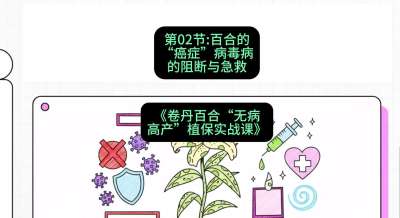 第02节：百合的&ldquo;癌症&rdquo;&mdash;&mdash;病毒病的阻断与急救，课程：《卷丹百合&ldquo;无病高产&rdquo;植保实战课》#识农AI