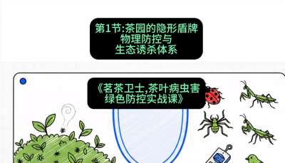 第01节：茶园的&ldquo;隐形盾牌&rdquo;&mdash;&mdash;物理防控与生态诱杀体系，课程：《茗茶卫士&mdash;&mdash;茶叶病虫害绿色防控实战课》#识农AI