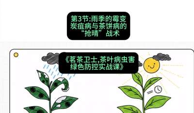 第03节：雨季的霉变&mdash;&mdash;炭疽病与茶饼病的&ldquo;抢晴&rdquo;战术，课程：《茗茶卫士&mdash;&mdash;茶叶病虫害绿色防控实战课》#识农AI