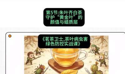 第05节：朱叶齐白茶&mdash;&mdash;守护&ldquo;黄金叶&rdquo;的颜值与蜡质层（重点），课程：《茗茶卫士&mdash;&mdash;茶叶病虫害绿色防控实战课》#识农AI