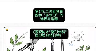 第01节：工欲善其事&mdash;&mdash;园林&ldquo;手术刀&rdquo;的选择与消毒，课程：《景观树木&ldquo;整形外科&rdquo;造型实战特训营》#识农AI