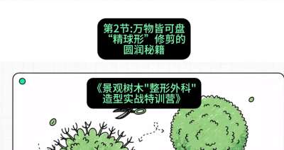 第02节：万物皆可盘&mdash;&mdash;&ldquo;精球形&rdquo;修剪的圆润秘籍，课程：《景观树木&ldquo;整形外科&rdquo;造型实战特训营》#识农AI