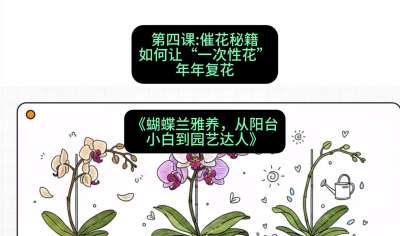 第四节：催花秘籍：如何让&ldquo;一次性花&rdquo;年年复花，课程：《蝴蝶兰雅养六讲：从阳台小白到园艺达人》#识农AI