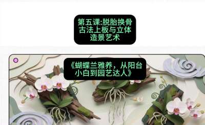 第五节：脱胎换骨：古法上板与立体造景艺术，课程：《蝴蝶兰雅养六讲：从阳台小白到园艺达人》#识农AI