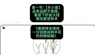 第一节：【冬小麦】返青追肥不靠猜，看苗下药省大钱