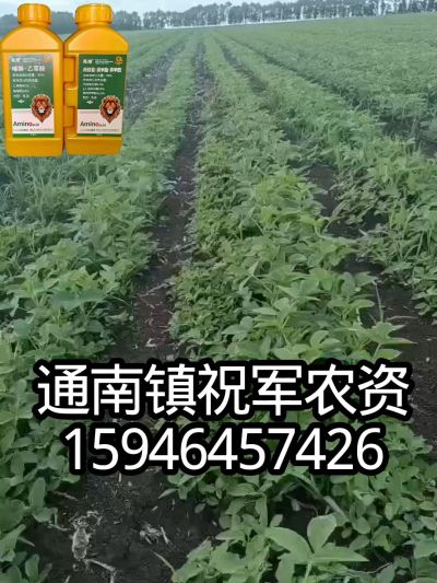 大豆苗前封闭，可封红根苋菜，灰菜，兰花菜，野豆子，捞豆秧等恶性杂草，封杀兼备的高端产品。