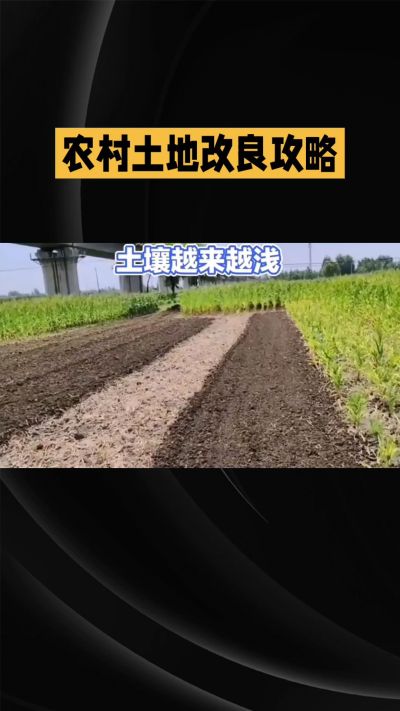 1. 先搞懂：你到底要改良哪块地、种什么
 
- 土土土在哪里？
就是你自家农田、菜地、果园，哪块地想种庄稼，就测哪块地的土。
​
- 有水没有水？
有水能浇：改良更省事，施肥、调酸碱都好操作。
没水