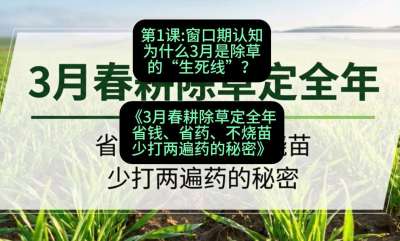 第1节：窗口期认知，为什么3月是除草的&ldquo;生死线&rdquo;？，课程：《3月春耕除草定全年：省钱、省药、不烧苗、少打两遍药的秘密》
