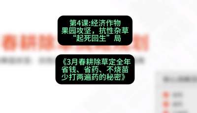 第4节：经济作物果园攻坚，抗性杂草&ldquo;起死回生&rdquo;局，课程：《3月春耕除草定全年：省钱、省药、不烧苗、少打两遍药的秘密》